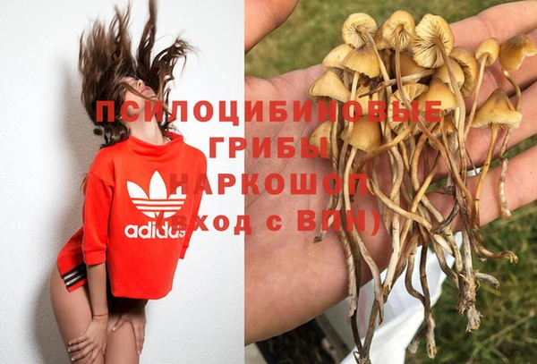 ALPHA-PVP Зеленокумск
