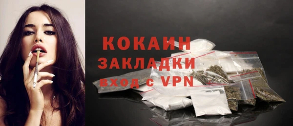 сатива Иннополис