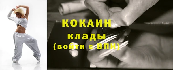 дурь Инсар